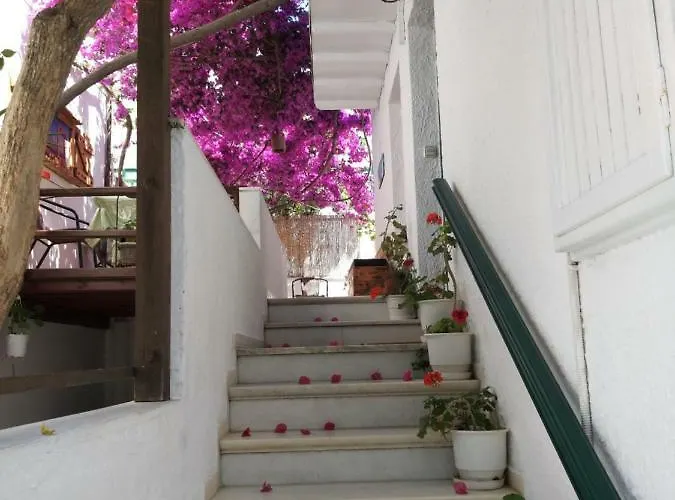 酒店 Syrianos Naxos City